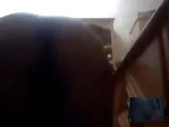 A atriz pornô russa Gina beijou melhores vídeos de sexo brasileiro um homem na cara enquanto fodia